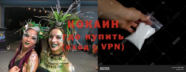 крисы Алзамай