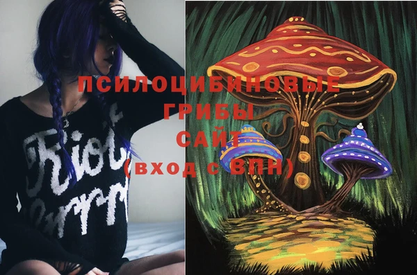 apvp Алексин
