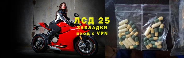 крисы Алзамай