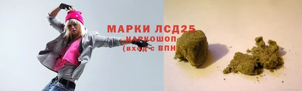 крисы Алзамай