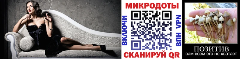 Псилоцибиновые грибы Psilocybe  Глазов 
