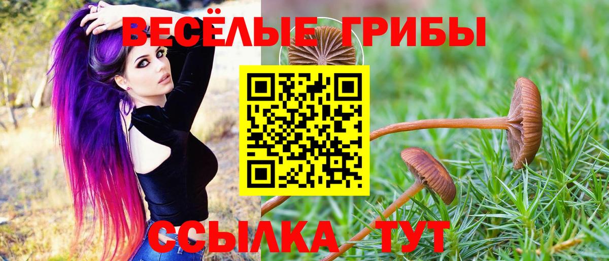 Галлюциногенные грибы мицелий Глазов