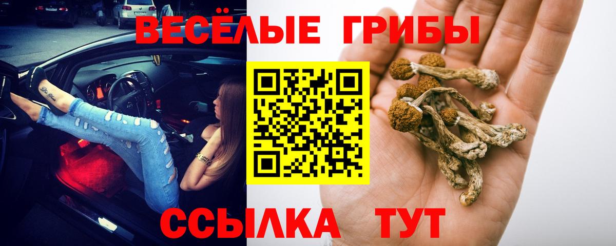 Псилоцибиновые грибы ЛСД  Галлюциногенные грибы Cubensis  Глазов  Вход с VPN 
